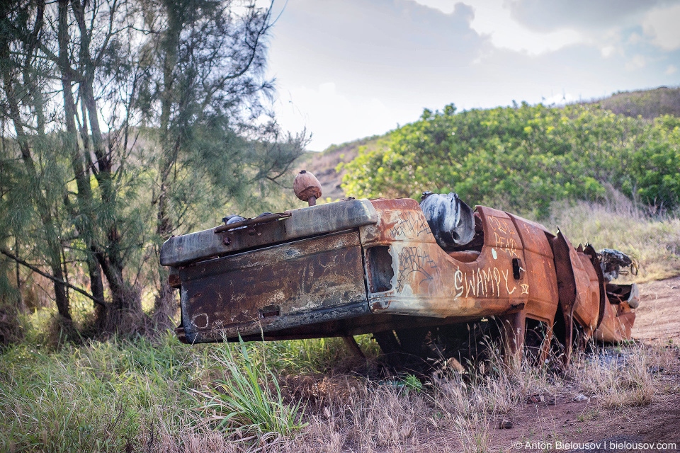 Car wreck at Kahekii Highway (Maui, HI)