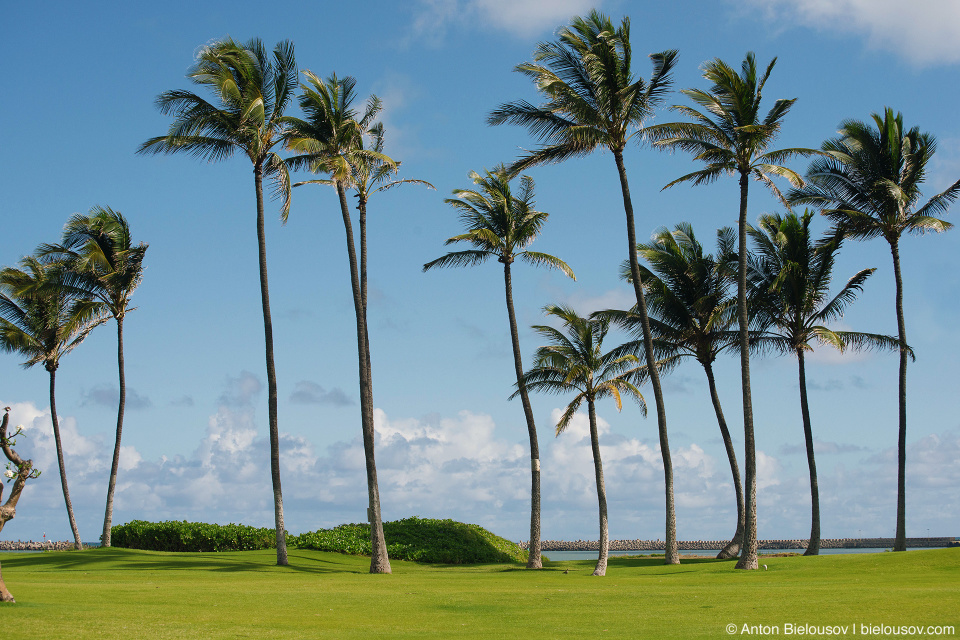 Beach resort in Kahului (Maui, HI)