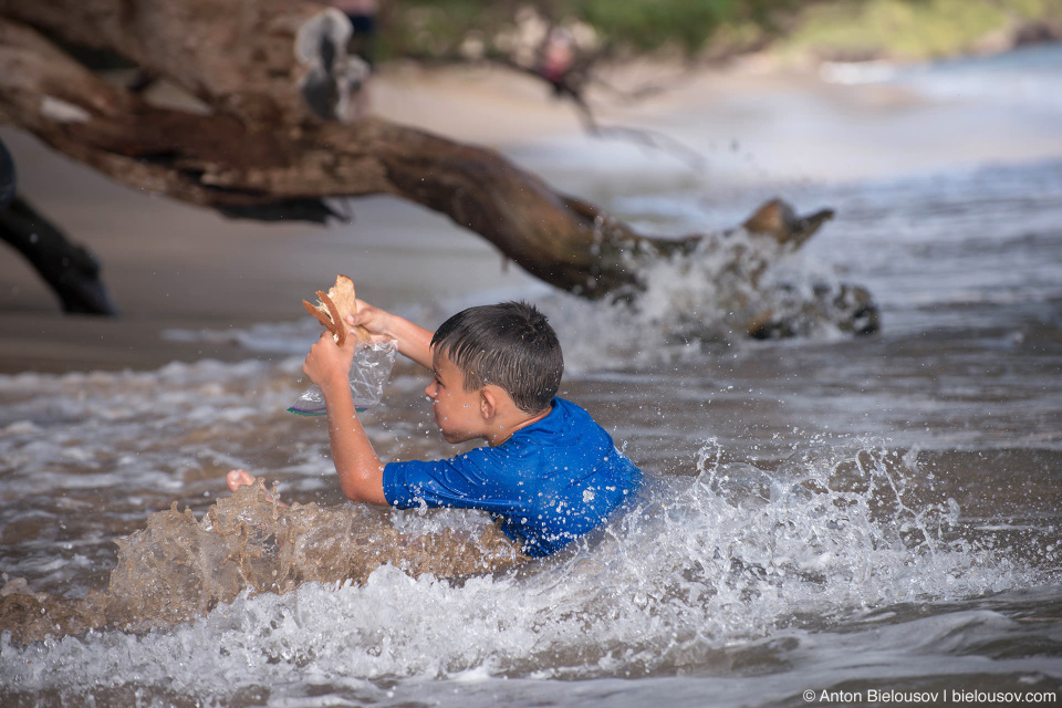 Pāpalaua State Wayside Park Beach (Maui, HI)