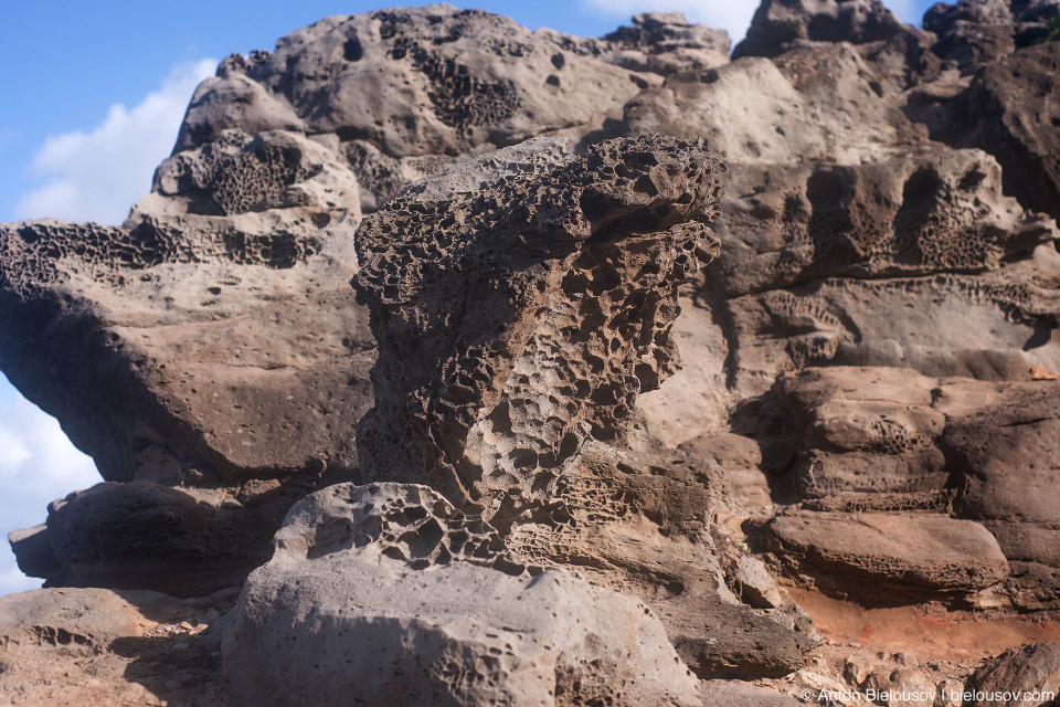 Eroded basalt pillow remnants at Nakalele Blowhole (Maui, HI)