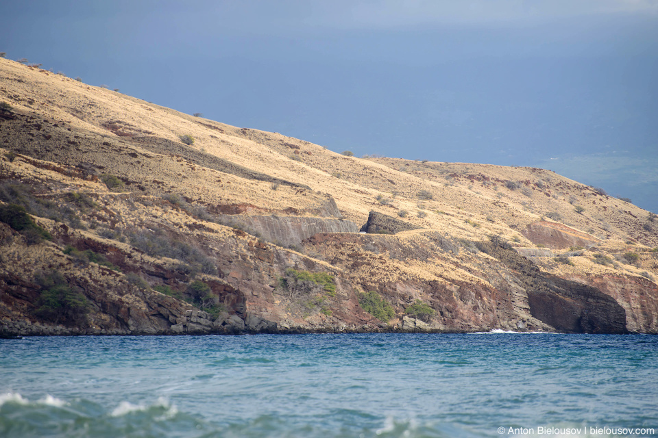 Pu'u Kukui Gulch (Maui, HI)