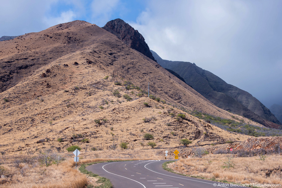 Southern hills of Pu'u Kukui (Maui, HI)