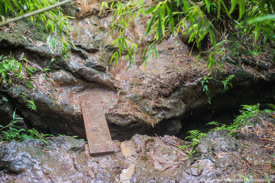 Na’ili’ili-Haele Falls trail (Maui, HI)