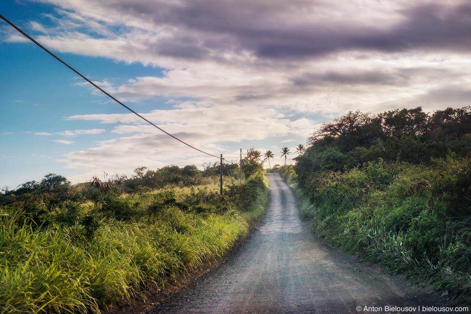 Highway to Hana (Maui, HI)