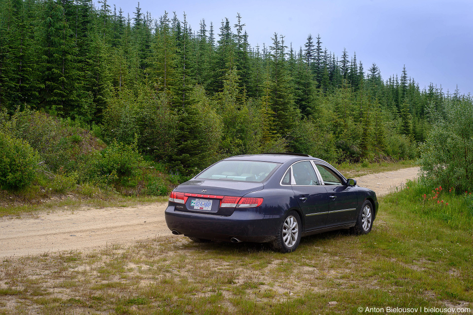 Road to Trophy Mountain (Wells Gray Provincial Park, BC)