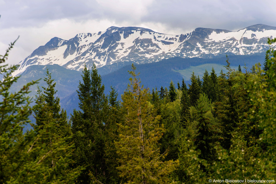 Trophy Mountain (Wells Gray Provincial Park, BC)