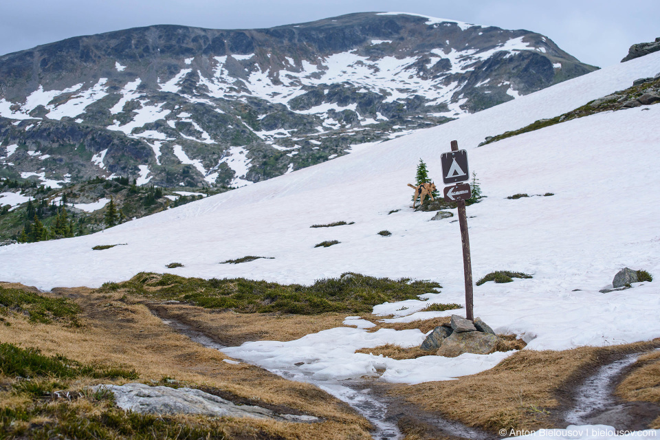 Снег на тропе на Trophy Mountain (Wells Gray Provincial Park, BC)