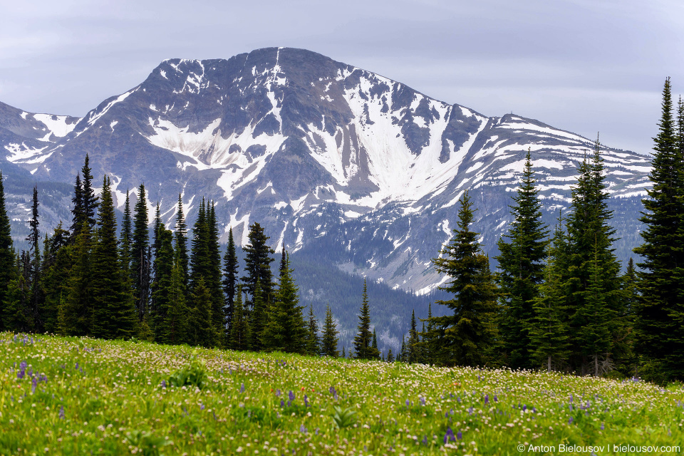 Wells mountain. Национальный парк Маунт-Рейнир, штат Вашингтон. Просторы России горы. Простор горы. Обои горы простор.