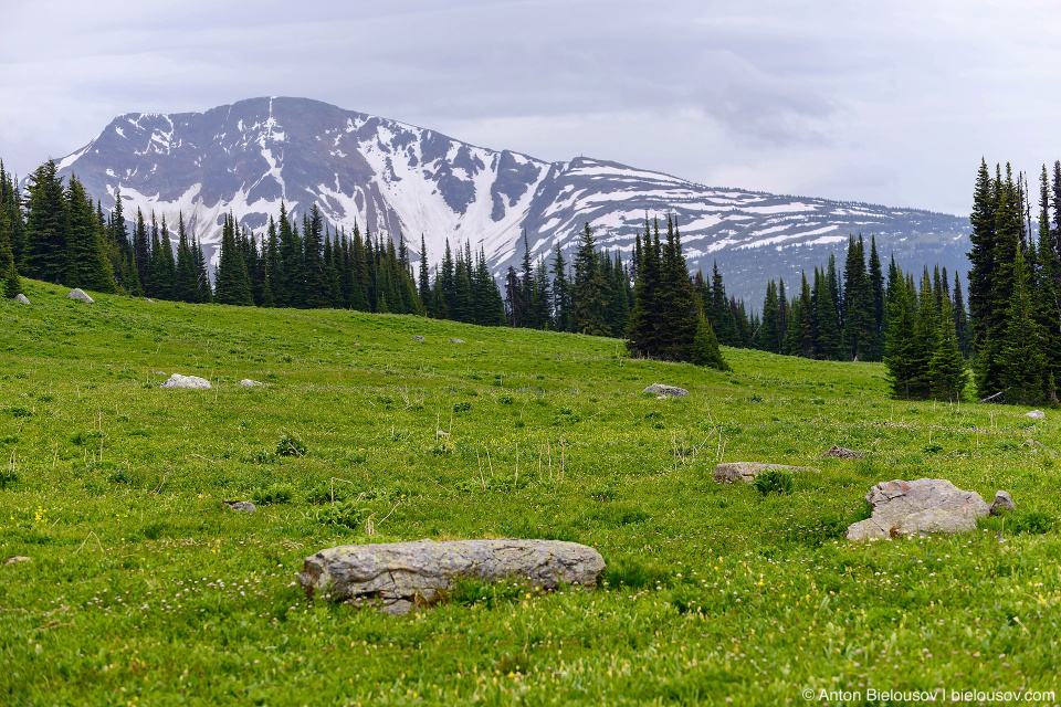 Trophy Mountain (Wells Gray Provincial Park, BC)