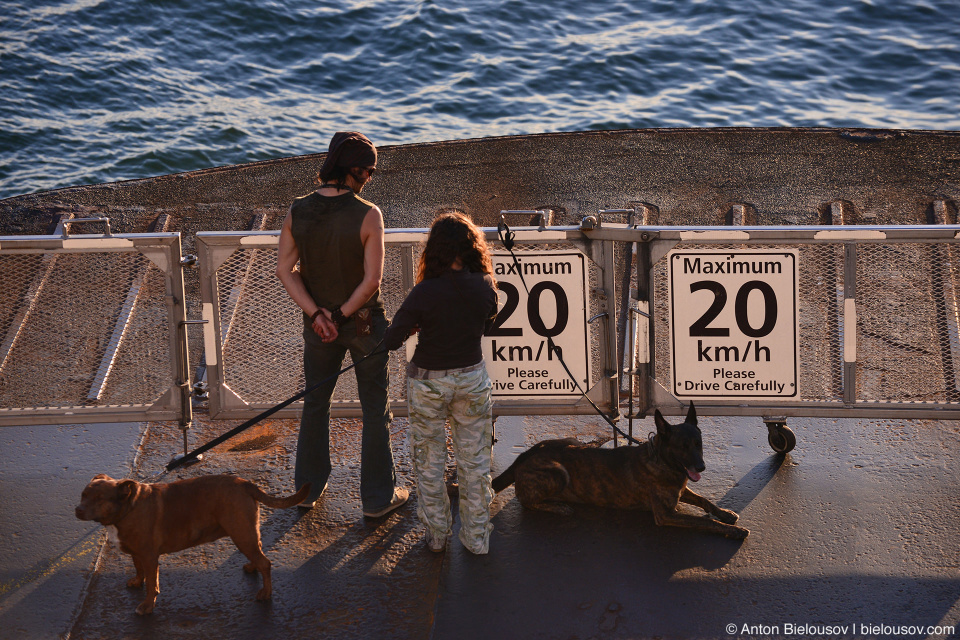 BC Ferry