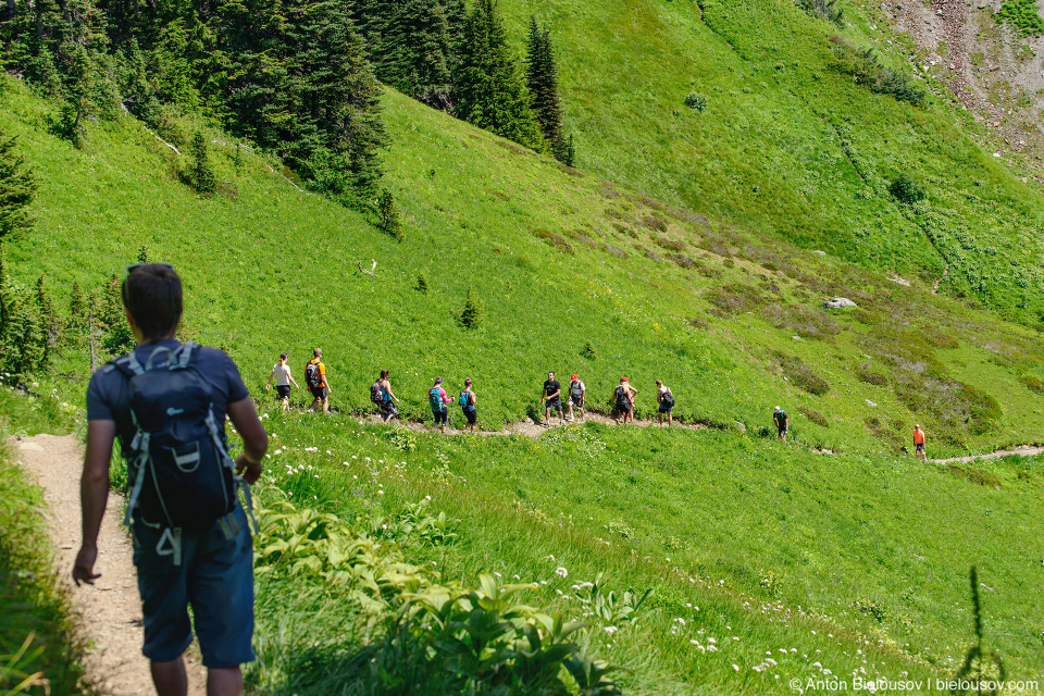 Cheam Peak trail