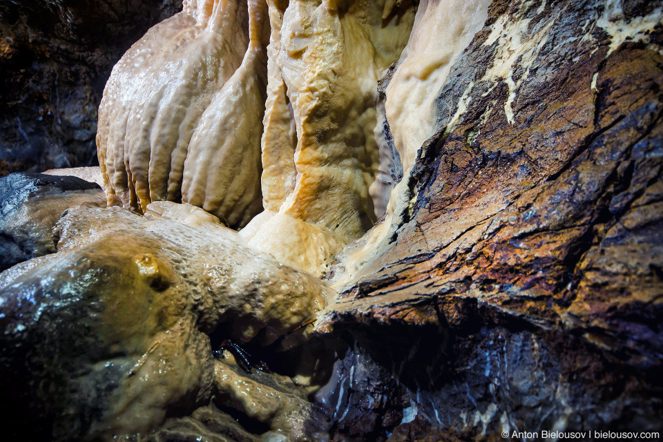 Calcite in Horne Lake Riverbend Cave (Vancouver Island, BC)