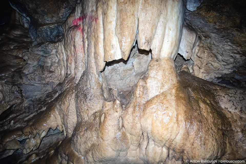 Calcite Fangs Formation in Horne Lake Riverbend Cave (Vancouver Island, BC)