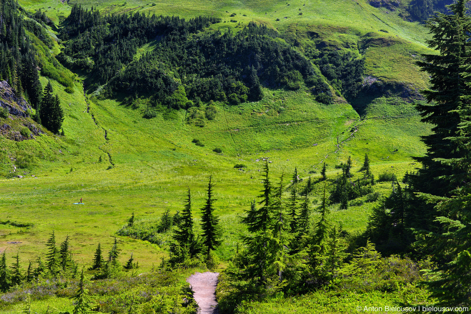 Тропа на Cheam Peak