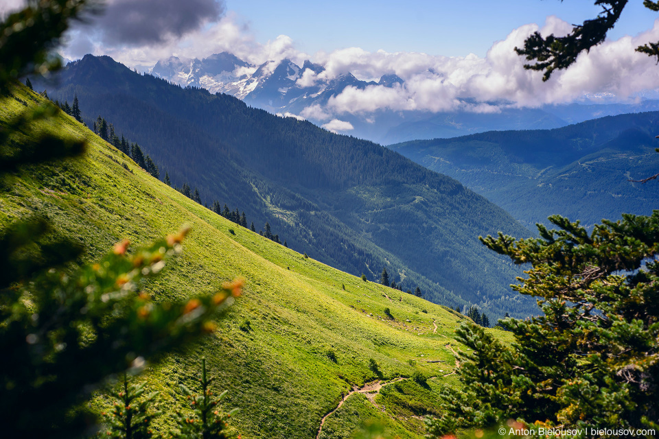 Тропа на Cheam Peak