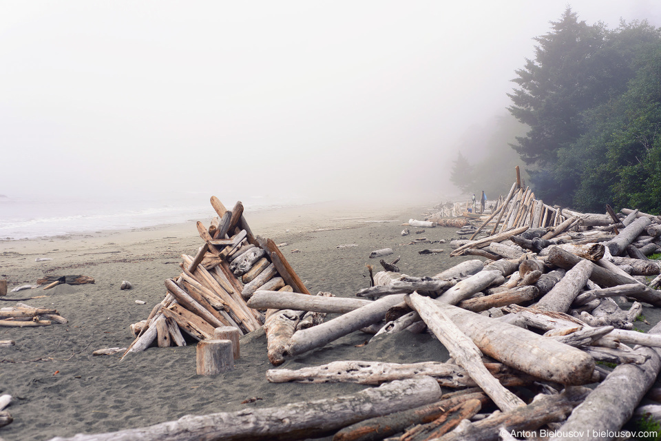 Pacific Rim Beach Morning