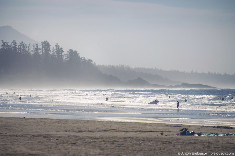 Surfers on Pacific Rim Long Beach