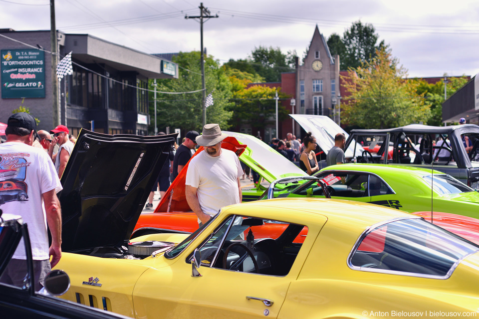 2016 Port Coquitlam Car Show — McAlister St.