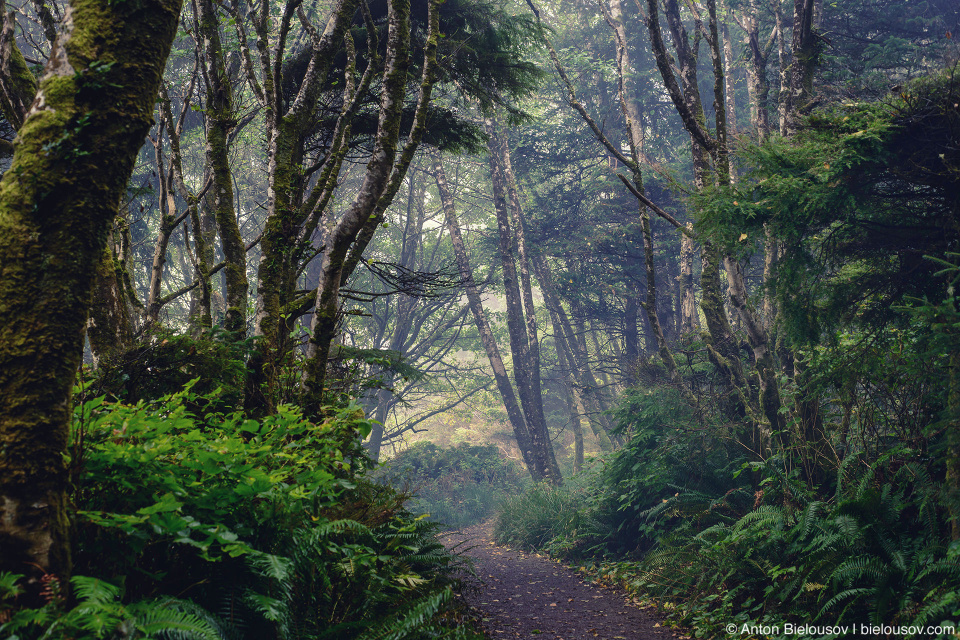 Pacific Rim National Park