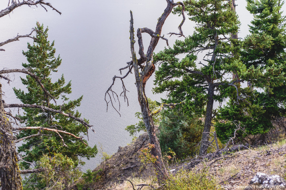 Copper Island loop trail (Shuswap Lake Provincial Park, BC)