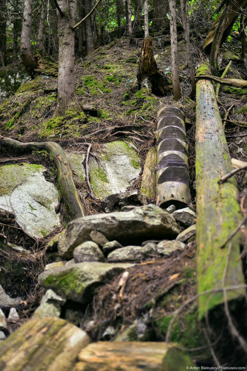 Shannon Falls Trail