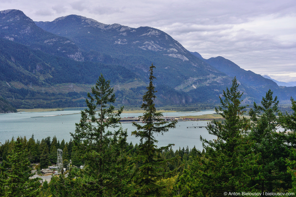 View to Howe Sound from Shannon Falls trail