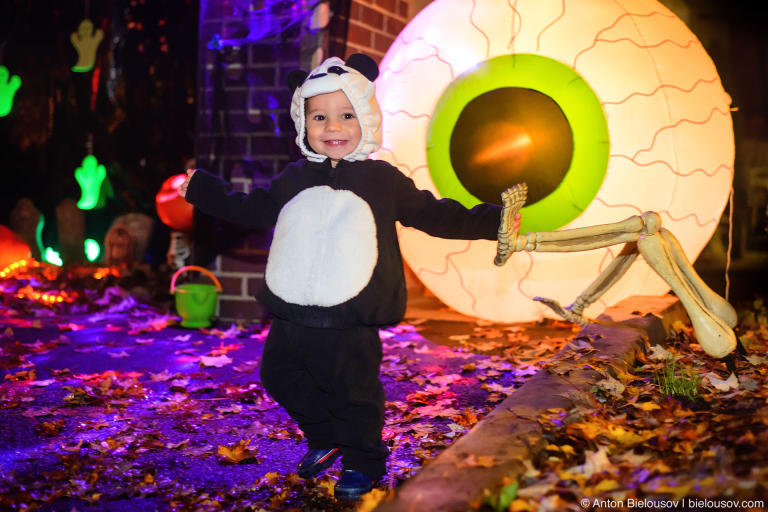 Halloween Baby Panda Costume