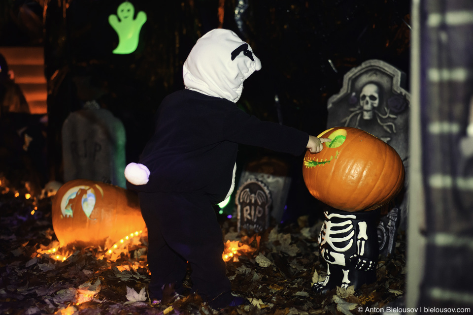 Halloween Baby Panda Costume