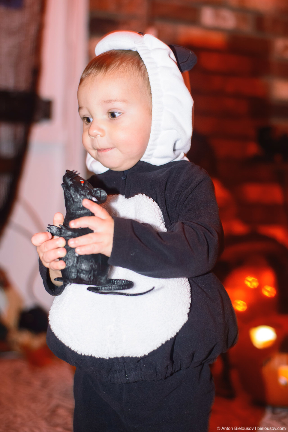 Halloween Baby Panda Costume