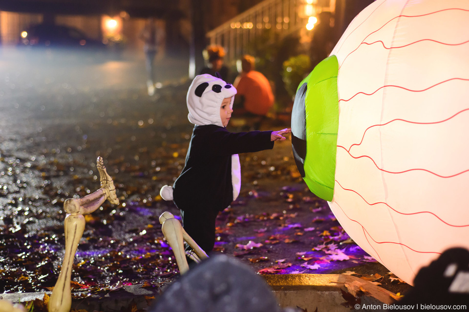 Halloween Baby Panda Costume