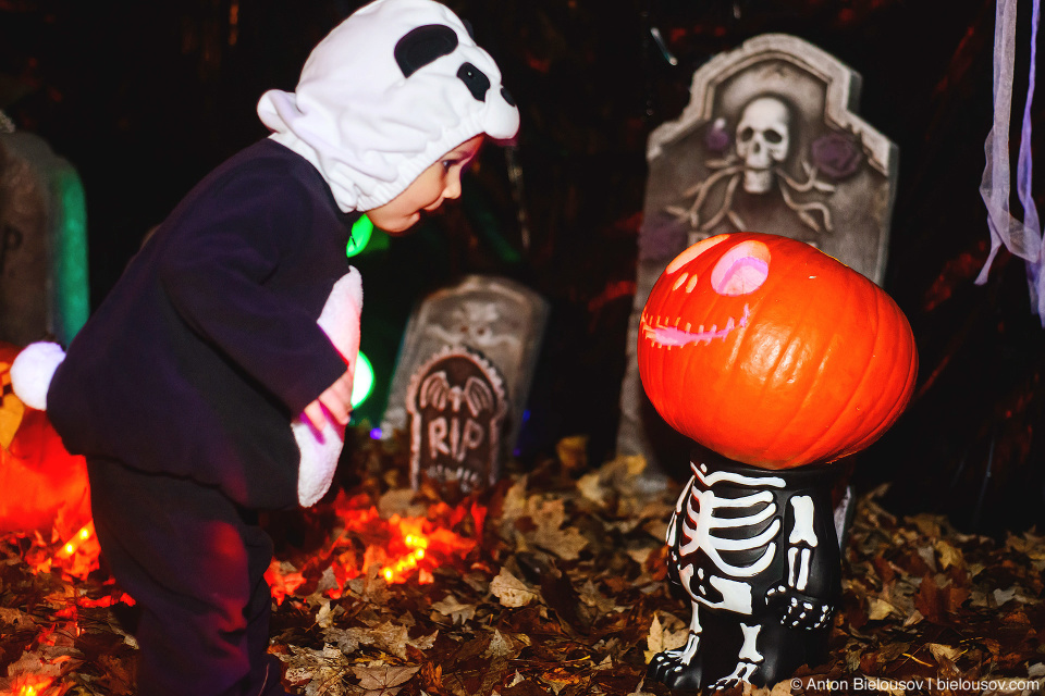 Halloween Baby Panda Costume