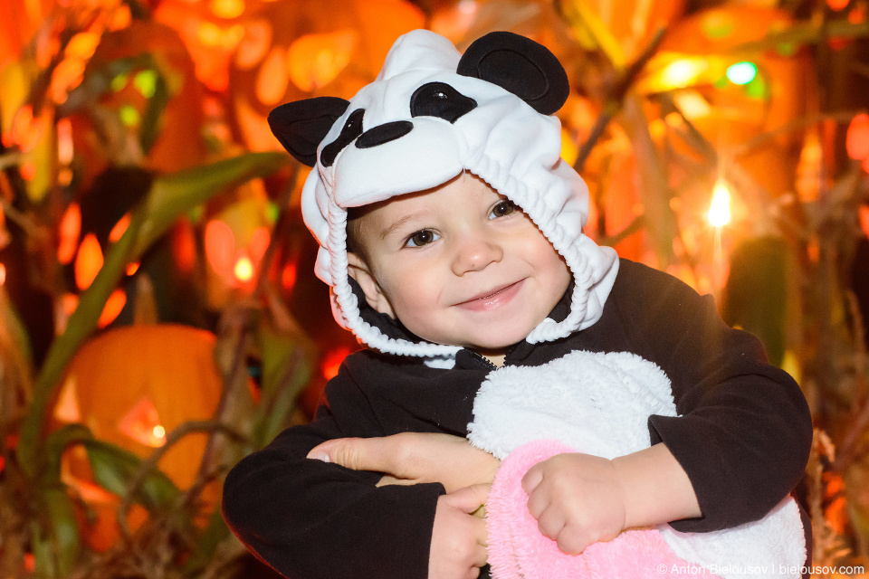 Halloween Baby Panda Costume