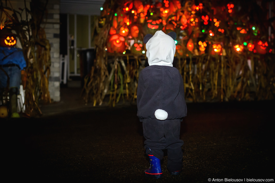 Halloween Baby Panda Costume