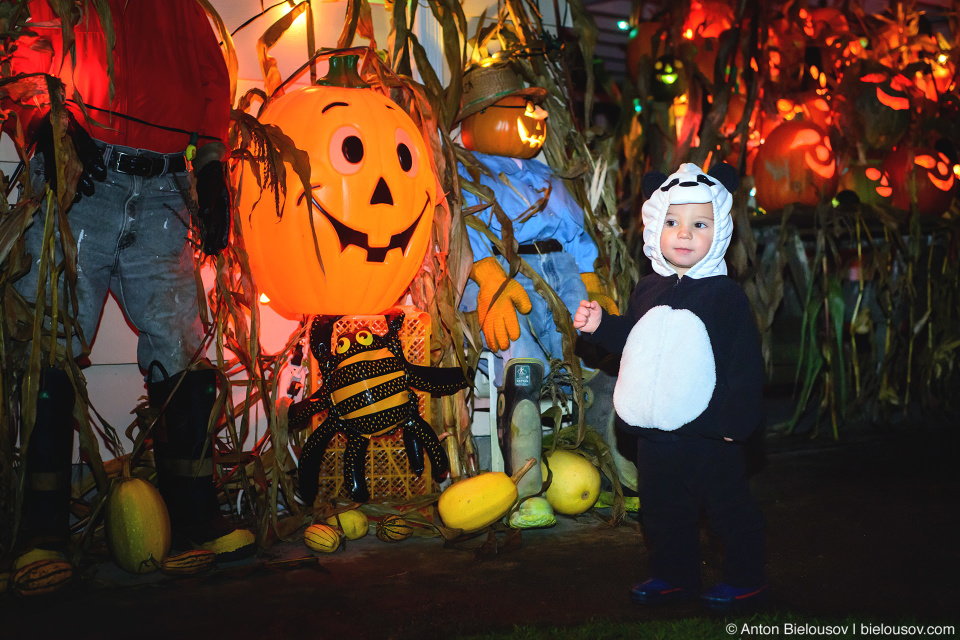 Halloween Baby Panda Costume