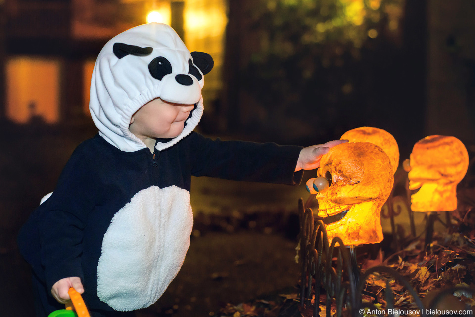 Halloween Baby Panda Costume