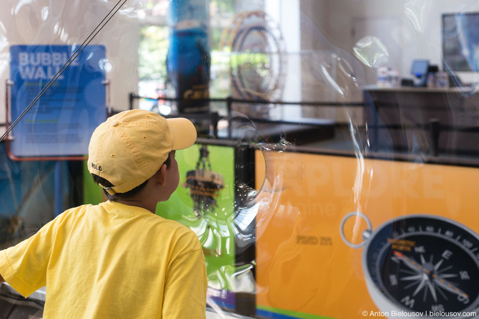 Seattle City Pass: Pacific Science Center Bubble Wall