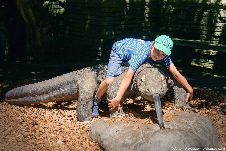 Seattle Zoo with City Pass: Komodo Dragon