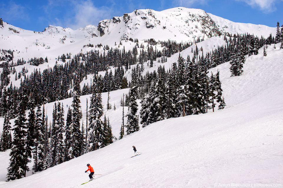 Whistler ski slope