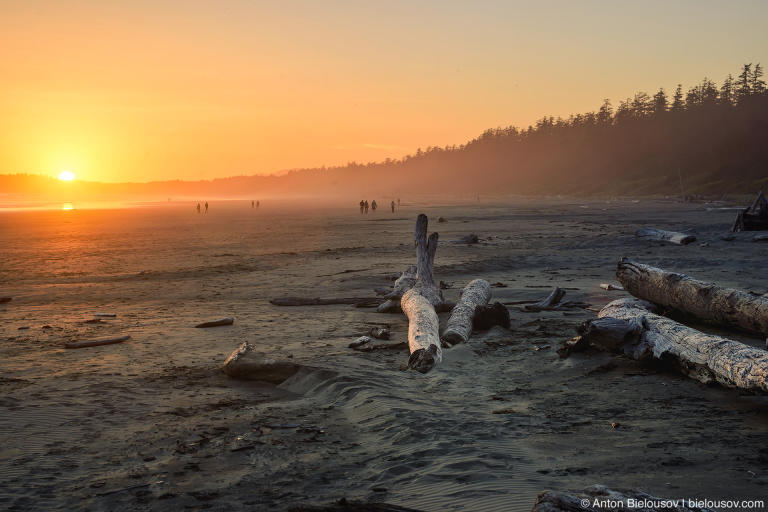 Long Beach (Green Point Campground Entrance, Pacific Rim National Park, BC)