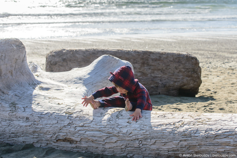 Driftwood logs on Long Beach (Pacific Rim National Park, BC)