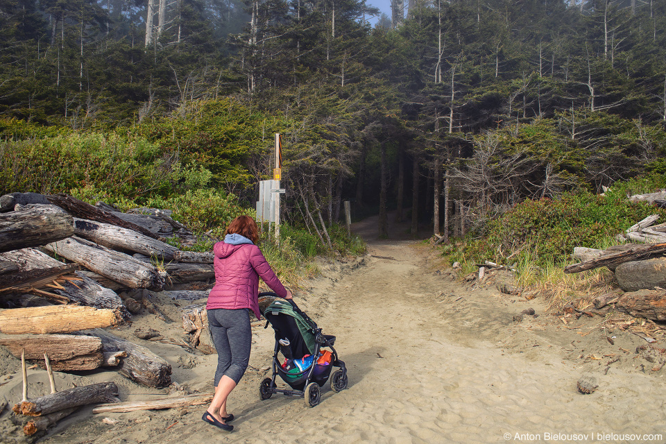 Long Beach (Green Point Campground Entrance, Pacific Rim National Park, BC)