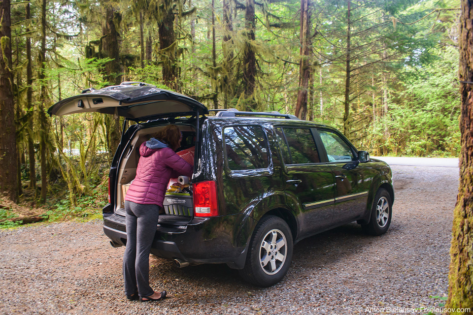 2009 Honda Pilot (Green Point Campground, Campsite #16, Pacific Rim National Park, BC)