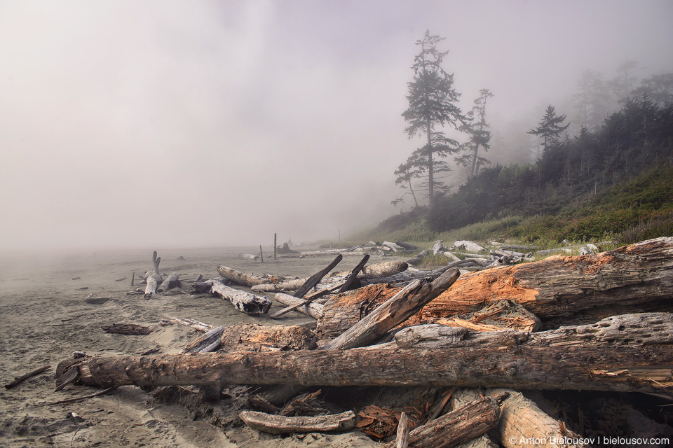 Long Beach (Green Point Campground Entrance, Pacific Rim National Park, BC)