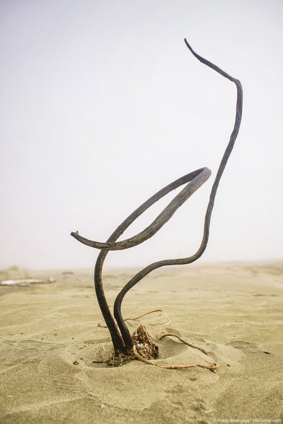 Long Beach (Green Point Campground Entrance, Pacific Rim National Park, BC)