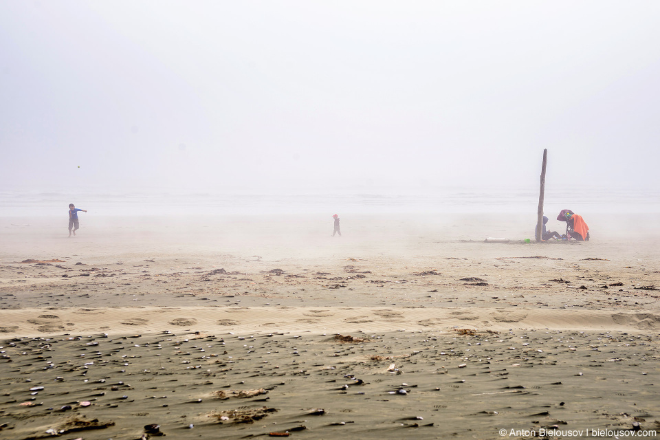 Long Beach (Green Point Campground Entrance, Pacific Rim National Park, BC)