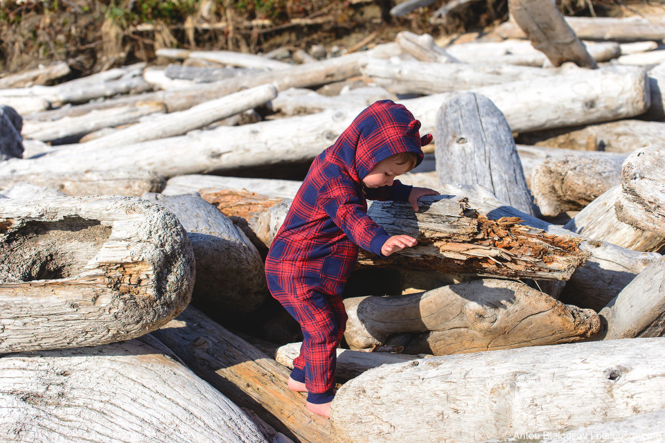 Driftwood logs on Long Beach (Pacific Rim National Park, BC)