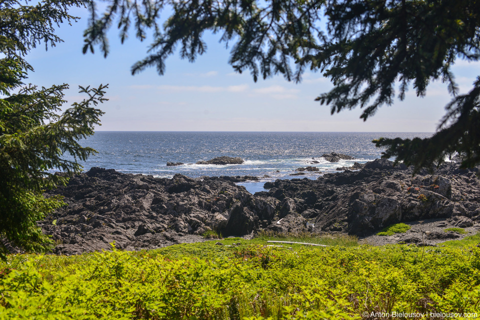 Wild Pacific Trail (Ucluelet, BC)