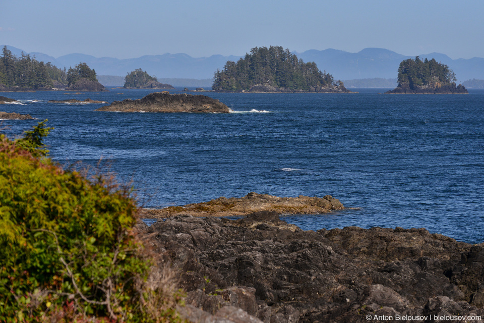 Wild Pacific Trail (Ucluelet, BC)