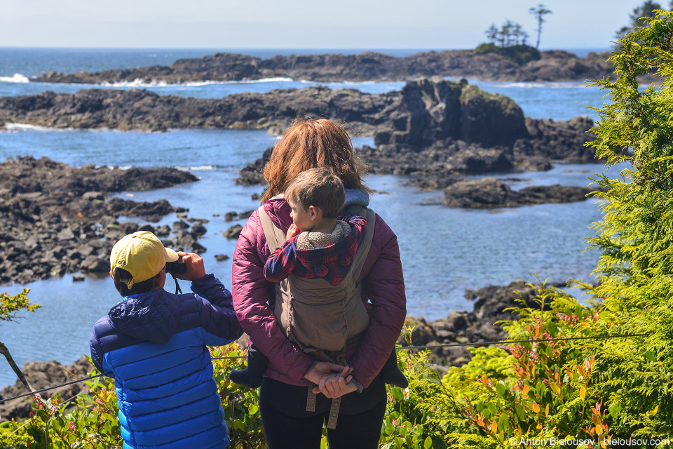 Wild Pacific Trail (Ucluelet, BC)