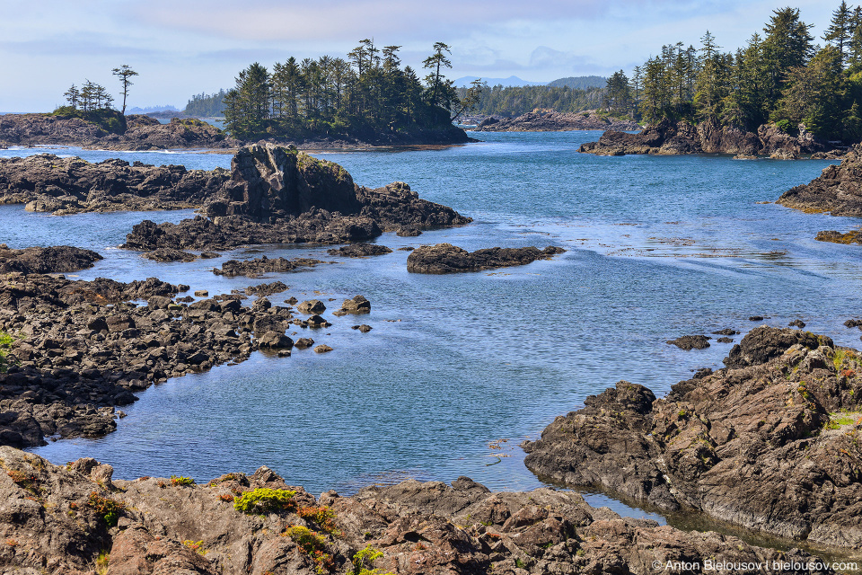 Wild Pacific Trail (Ucluelet, BC)